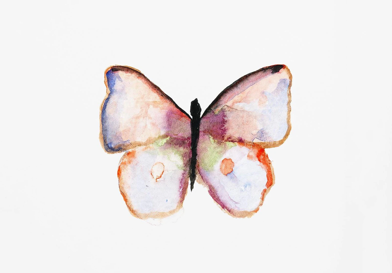 Acquerello Bug Farfalle Polme Poster Stampa Pastello Insetti Tela Pittura  Natura Immagine di arte della parete Asilo nido Decorazione della camera dei  bambini - AliExpress, image size:1592x1111