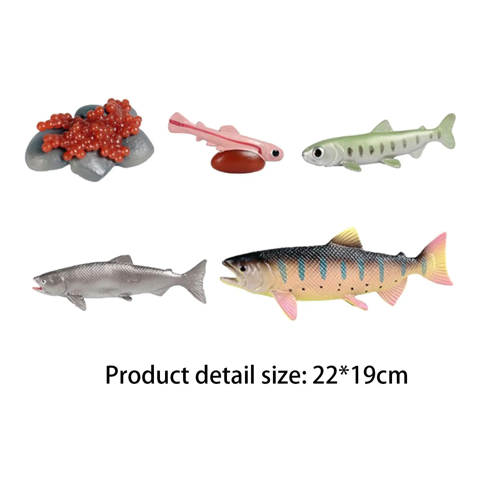 Life Cycle of Salmon Toys Realistic Teaching Props Cognitive Science Montessori Toys Educational Presentations Preschool Daycare