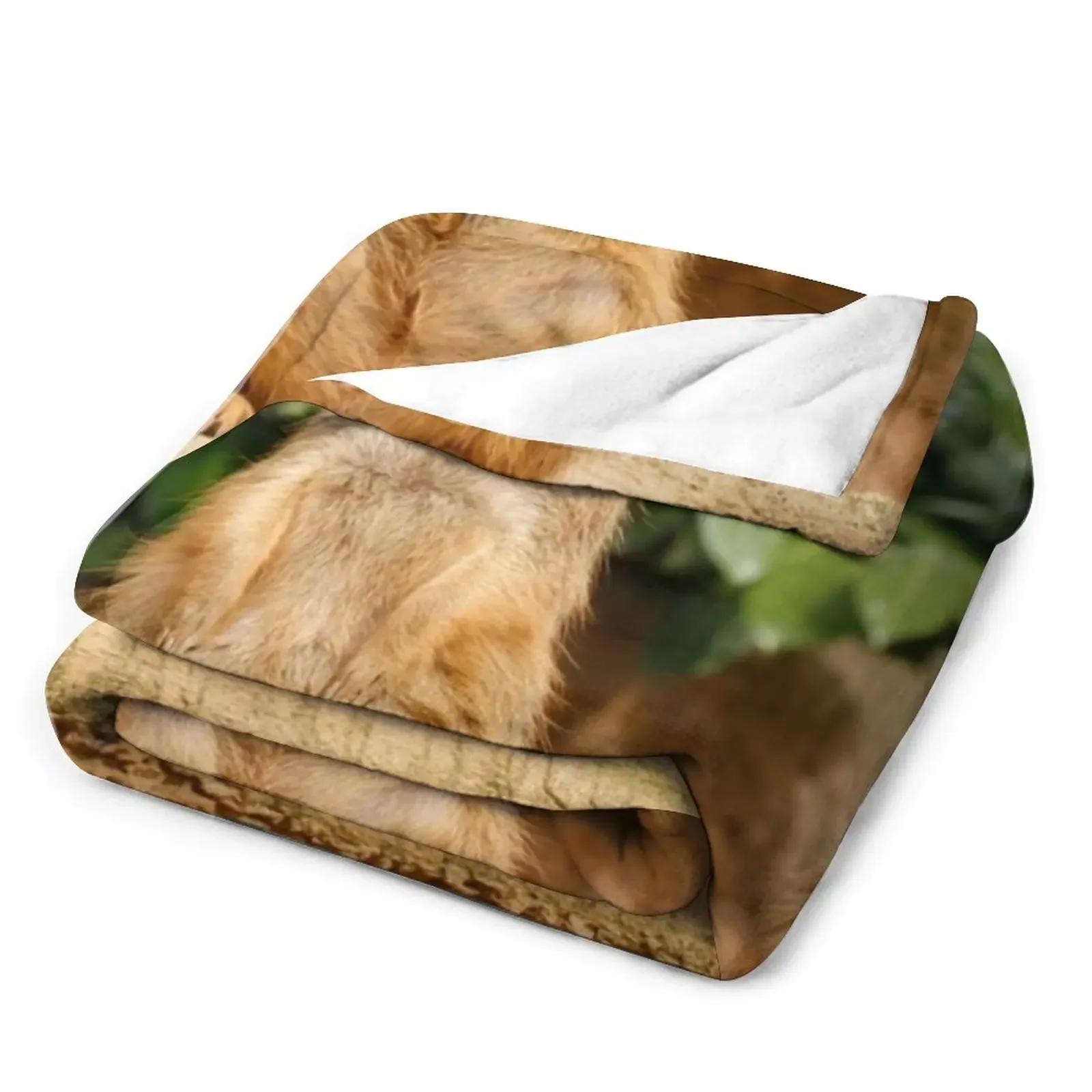 Meerkat 008 ������ ���, �м� ����, ���ſ� ���� �� ���