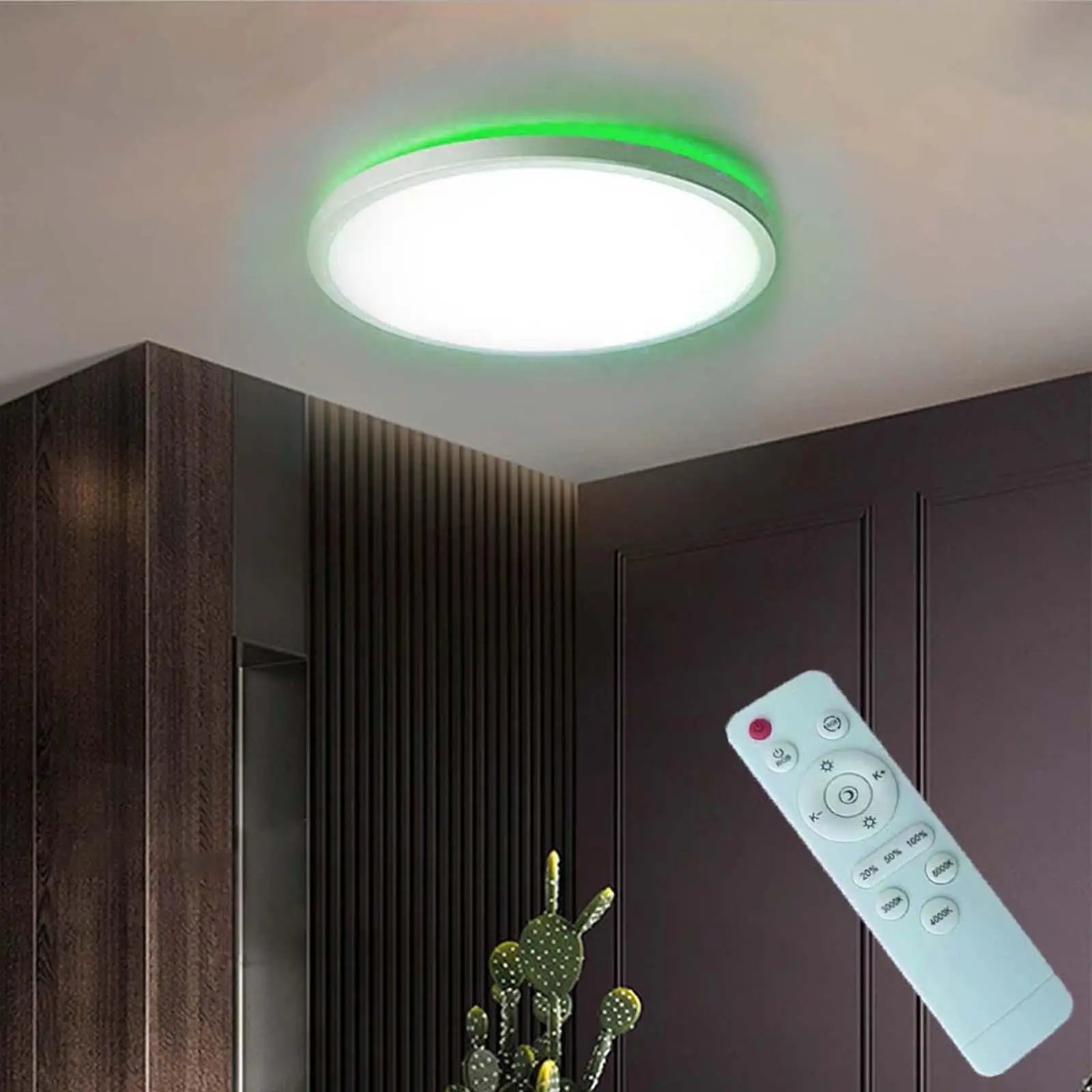 

Modern Ceiling Lamp with RGB Cycle Atmosphere Lighting Dimming Energy Saving LED Ceiling Light for Home Living Room