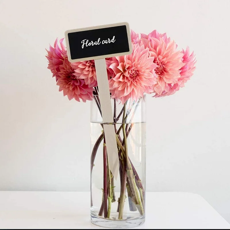 10pcs Mini Wooden Chalkboard Plant Labels Markers for Flower Pot Seed Potted Herbs Vegetables Garden