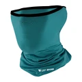 S-196 Blue