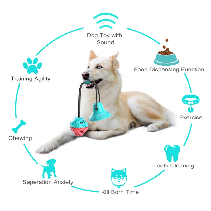 https://ae01.alicdn.com/kf/Sfb8d5dfb4b3c4983bdd37e24e316f4a1W/Dog-Slow-feed-Dispenser-Chew-Suction-Cup-Tug-of-War-Toy-Interactive-Pet-Aggressive-Chewers-Rope.jpg