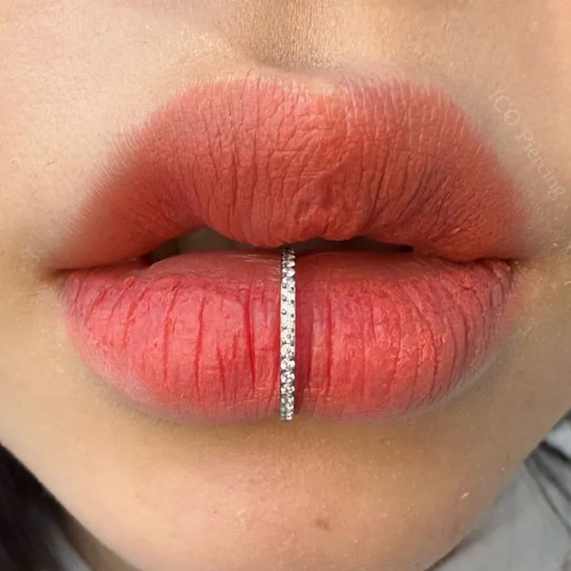 ASTM F136 Titanium EAR PIERC Cat Ears and Line Pyramid Cut Ring Hoop Nose Rings Hinged Clicker Earring Labret Tragus Piercing hoop earrings piercing jewelry nose rings body piercing jewelry body jewelry ear piercing jewelry body piercing earrings
