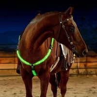 100CM LED Horse Chest Straps Riding Decoration Luminous Tubes Horses Riding Equestrian Saddle Halters Horse Care Products 2