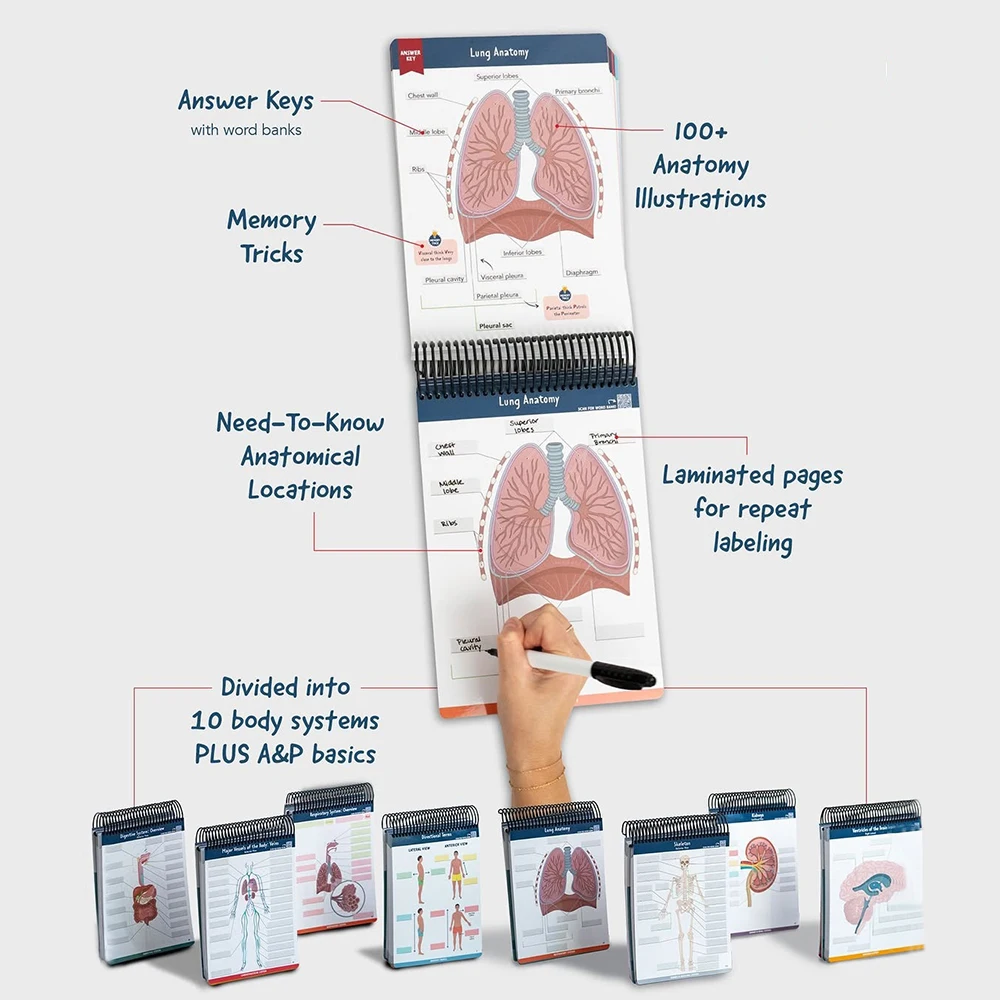 100+ Detailed Anatomy illustrations Perfect for Students Entering Nursing Physical Therapy Radiology Pre-med and So Much More