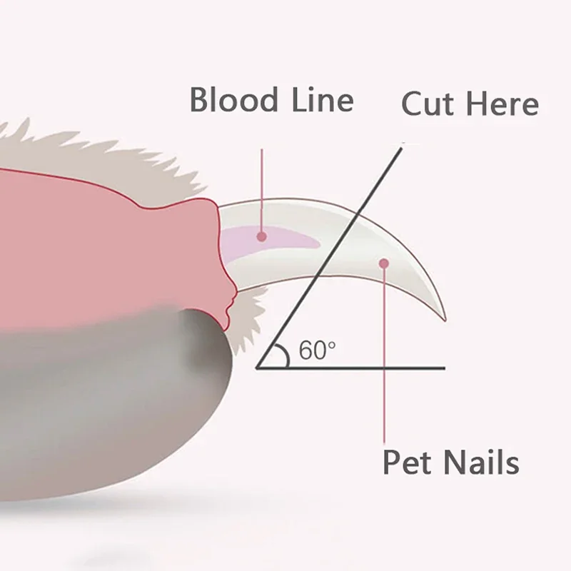 Professional Pet Nail Clippers with Led Light Pet Claw Grooming Scissors for Dogs Cats Small Animals Paw Nail Trimmer Pet Supply 5