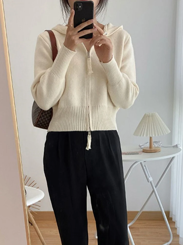 cropped cardigan New  2022 Short Cardigans Zipper Hooded Thicken Knitted Wild Korean Lady Winter Spring Women's Sweaters Top HT3 cropped cardigan