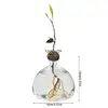 Avocado Seed Starter Vase Transparent Glass Propagation Hydroponic Flower Vase Container Gift Home Office Desktop Decors 6