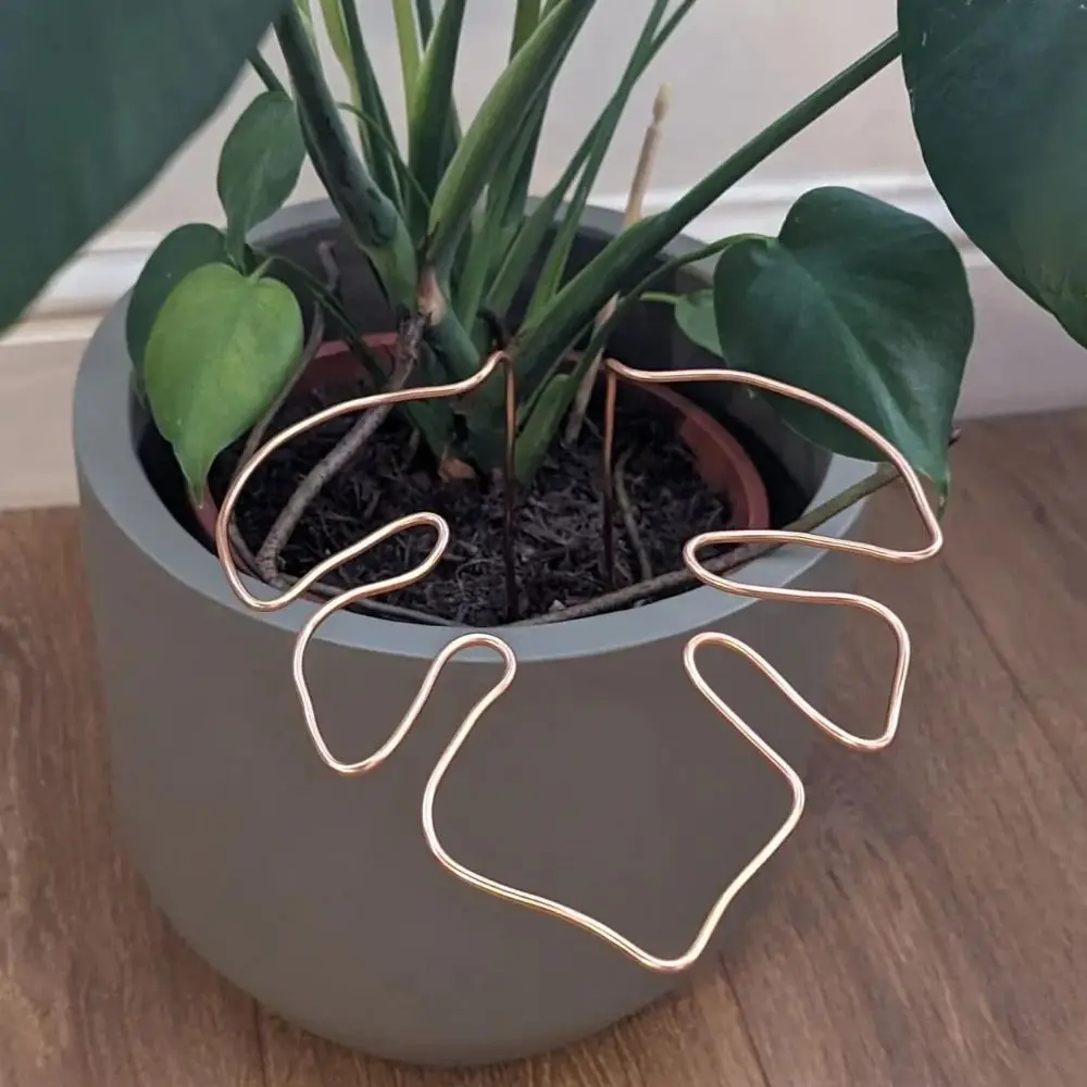 Plant Stand Leaf Shaped Plant Support Ring for Outdoor Plants and Indoor Plants Support Branches Stem Organizer Garden Tools
