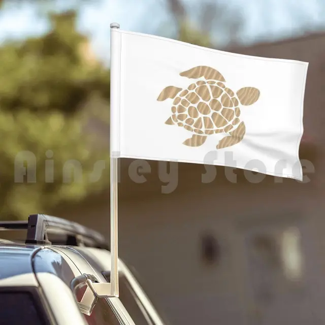 Flag Car Flag Sand Sea Turtle