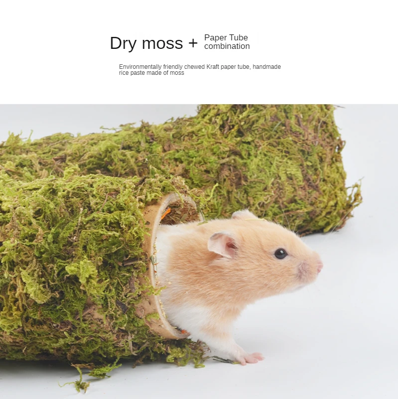 Natural Moss Hamster Tunnel Dwarf Rat Chipmunk Tunnel Small Animal Cage  Landscaping Supplies Hamsters Toy Rat Accessories - AliExpress
