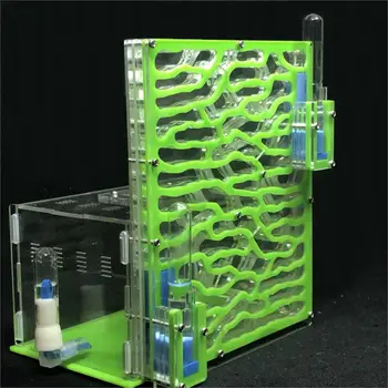 Large Acrylic Ant Farm 1