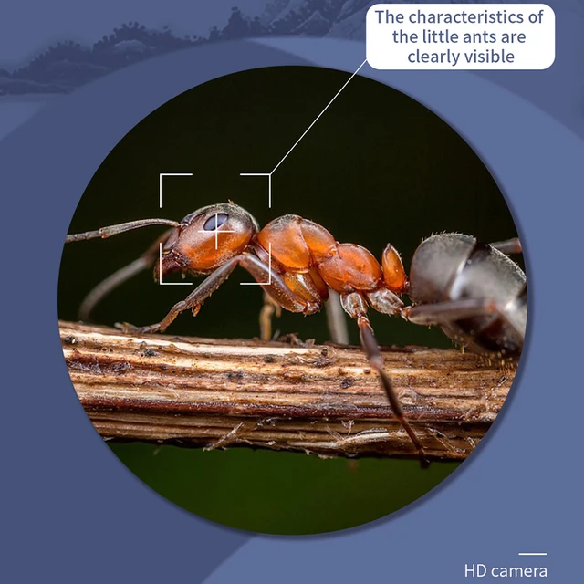 Xiaomi Intelligens Vizuális Fülpálcák Endoszkóp 400W Nagy Pontosságú Füldugó Mini Kamera Otoscope Health Care Fül Tisztító Tiszta Szerszám - Image 4