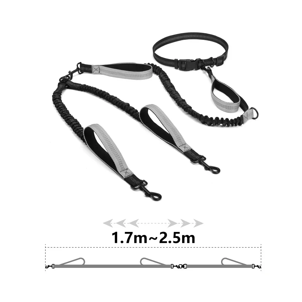 

Dual For Pet Dog Hands Leash Handle Dogs Reflective Retractable Qulity Running Supplies Free High Bungee Large