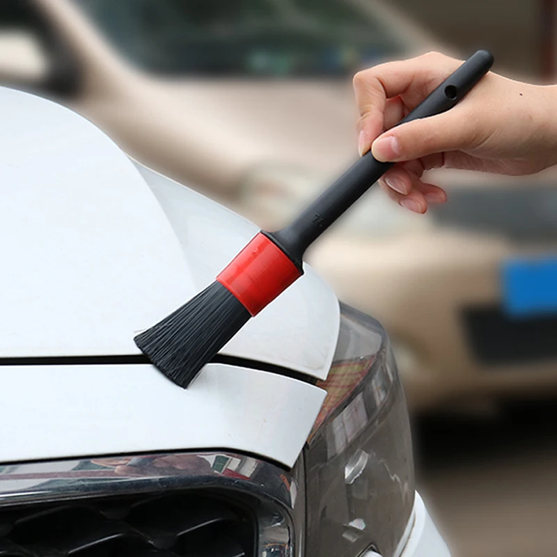 World's Smallest Pet Rock, Pet Rock