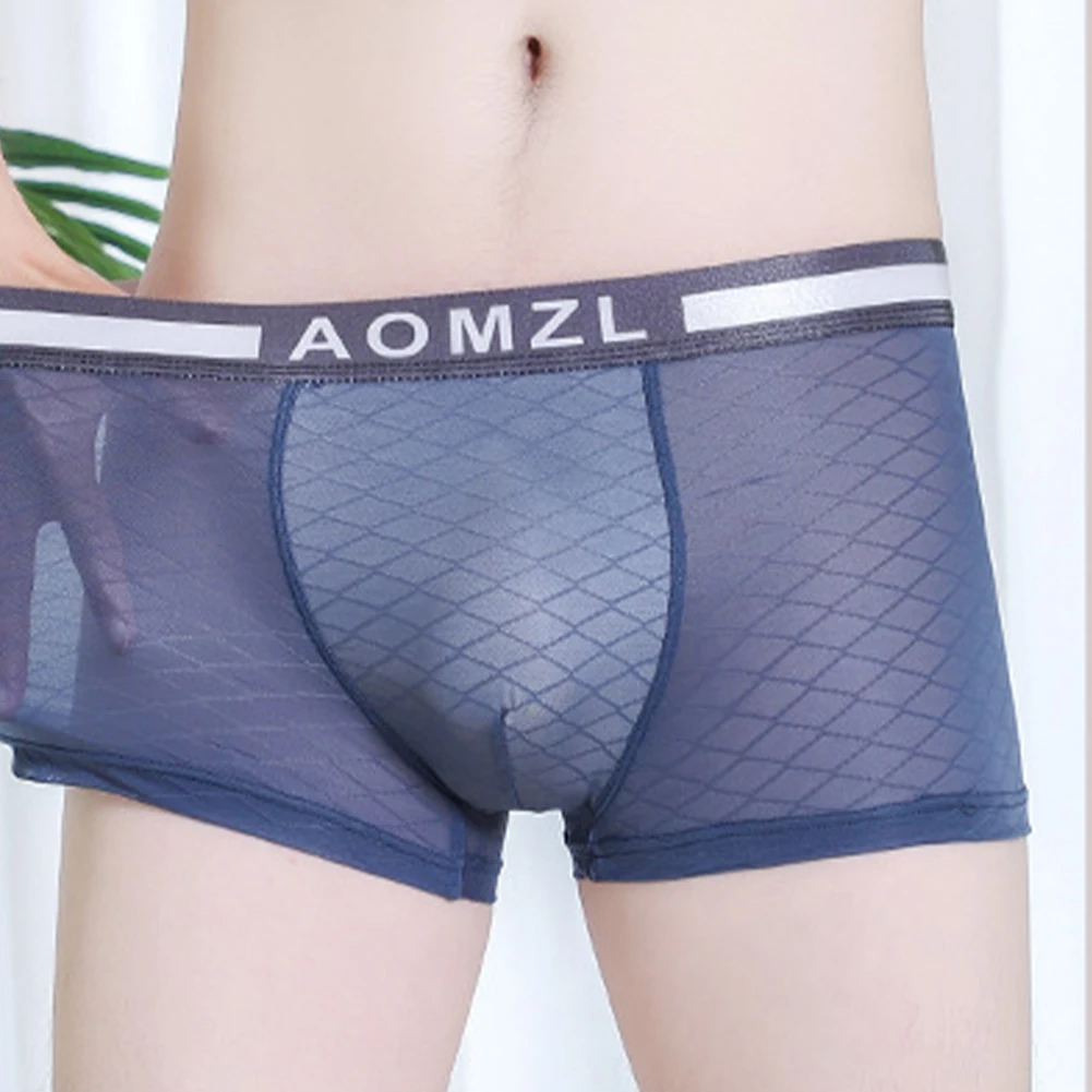 

Men Ice Silk Boxers Underwear Sexy Mesh Ultra-thin Transparent Trunks Low Waist U Pouch Briefs Elasticity Shorts Underpants