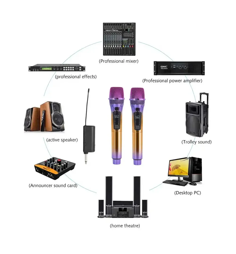 Professional Wireless Microphone UHF Fixed Frequency 2 Channel Handheld Device for Party Lecture Church Stage Performance