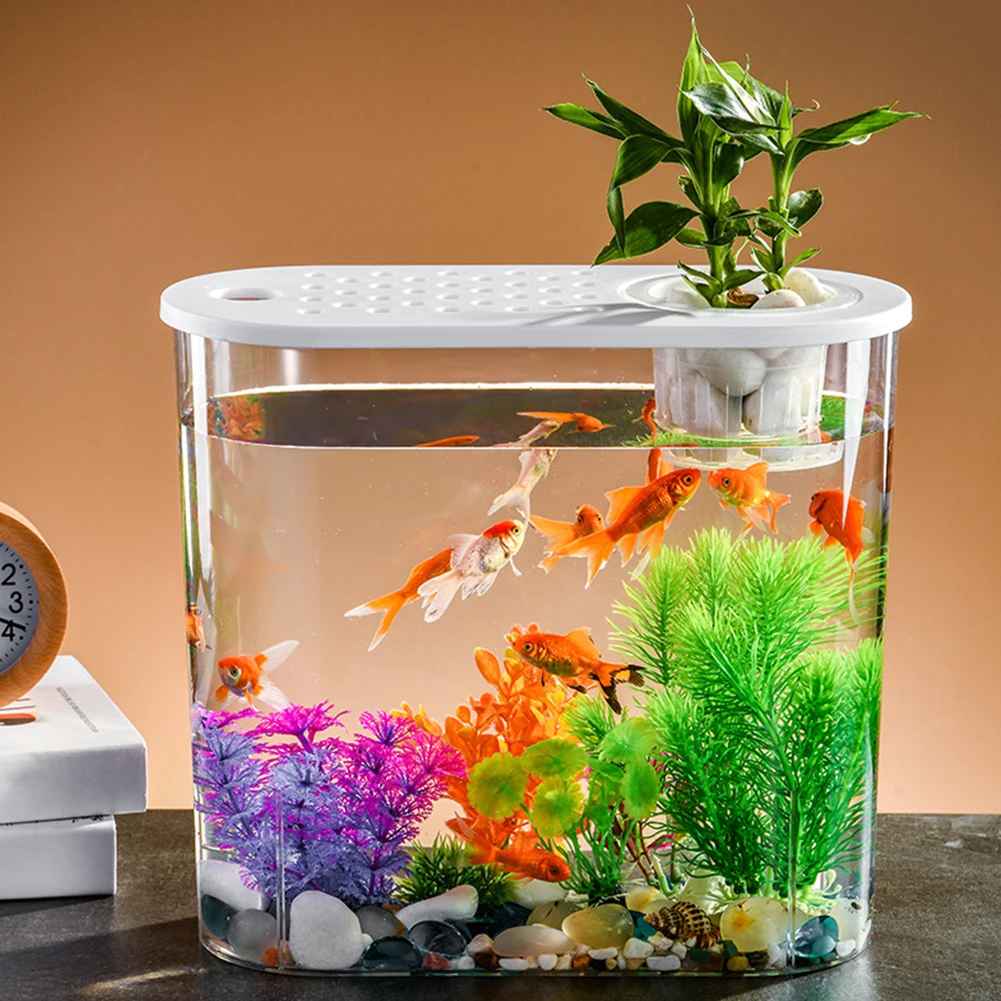 Fish Tank Hydroponics: The Ultimate Desktop Aquaponic Planter for Modern  Homes and Offices, image size:1001x1001