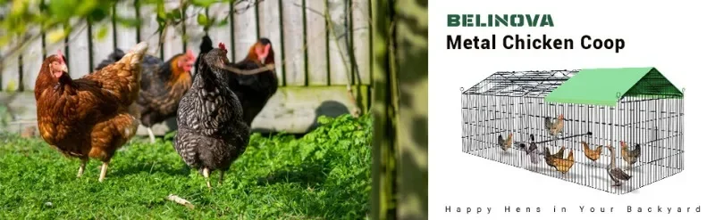 Description Picture 2 of itemFoldable and Detachable Outdoor Poultry Cages Multifunctional Farm Animal Supplies Large Chicken Coop Walk-in Poultry Run
