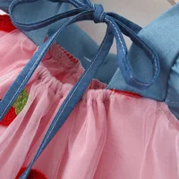 (0-3 Years) Summer New Girls Dress Small Flying Sleeve Bow A-child Dress Embroidered Strawberry Cool Princess Dress 5