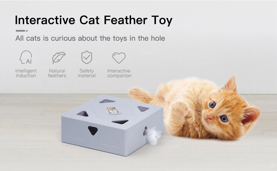 Mewoofun Interactive Cat Toys Kitten Toy For Indoor Cats Usb 