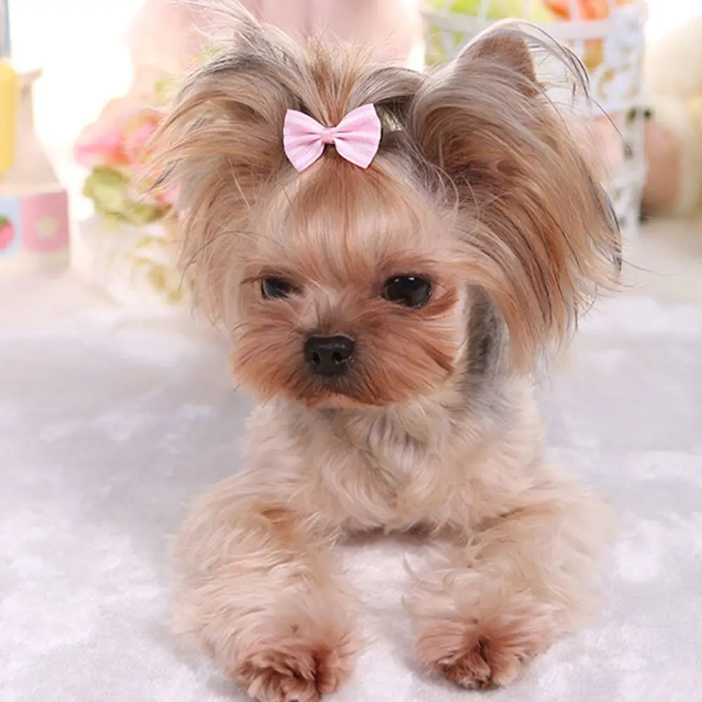 Title 11, Dog Hair Clips Cat Sweet Bow Hairpins Hair Barr...