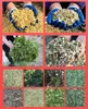 Wood Crusher Chipper Machine,Gasoline Engine Shredder,Tree Branch 3