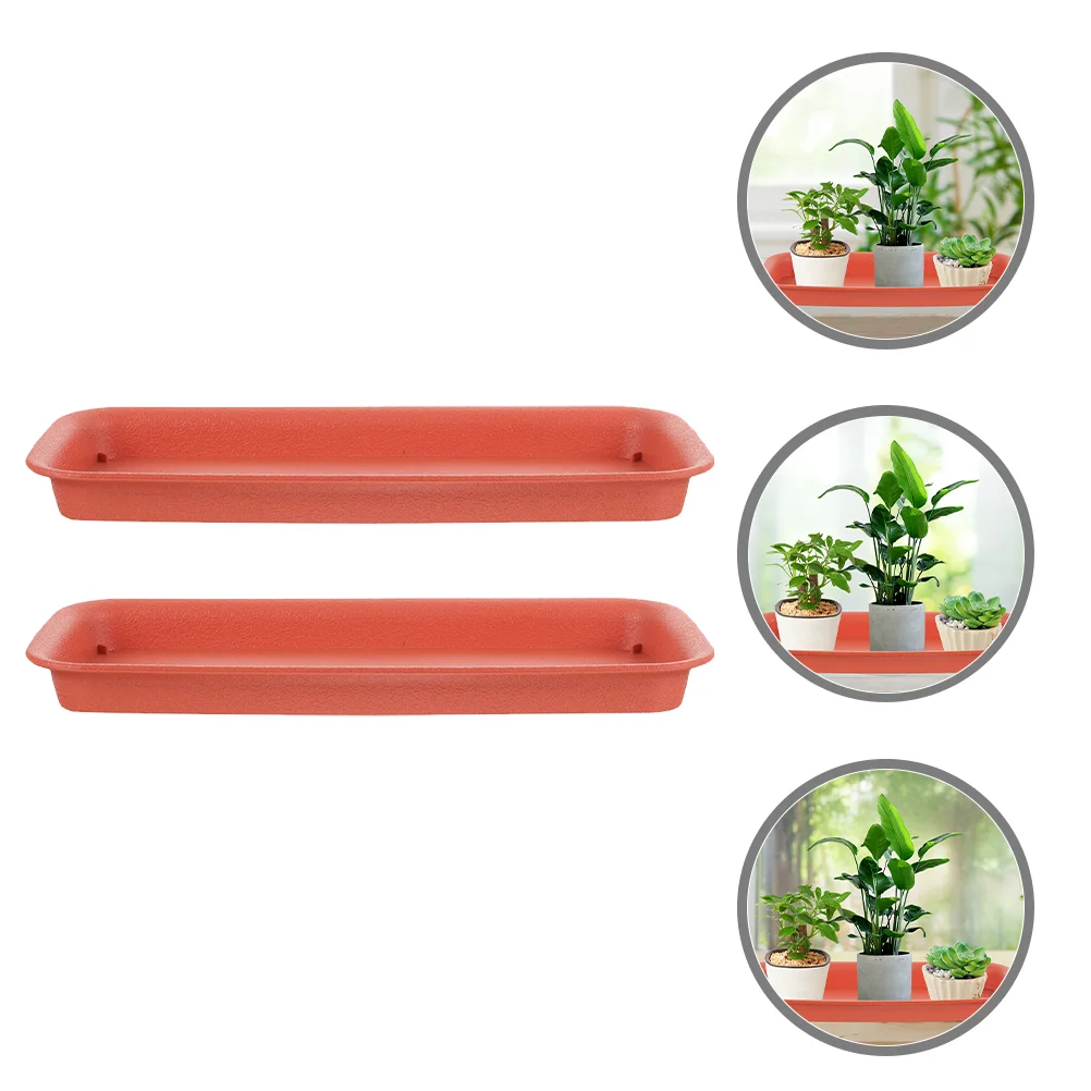 

2 Pcs Plant Flower Pot Tray Pots Indoor Drainage Plastic Saucers for Potted Plants