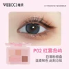 VEECCI 5 Colors Eyeshadow Palette Long Lasting and Easy To Apply Matte Pearlescent Gliter for Eyes Makeup Palette Cosmetics 6