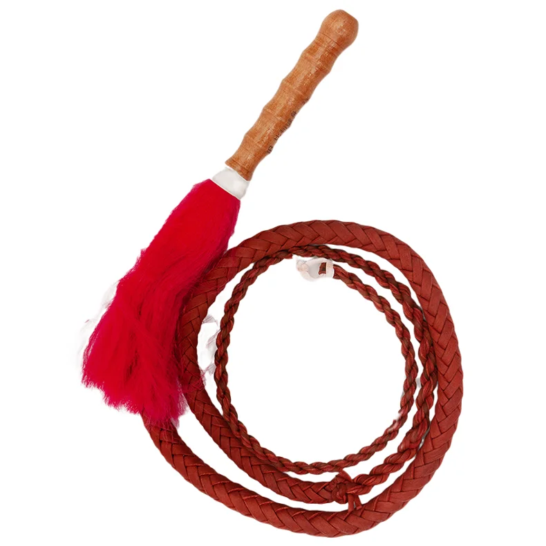 Kung Fu Whip Wushu Whip Vera Pelle Di Vacchetta Vera Pelle Suono Frusta Pastore Frusta Fitness Fruste Kun Master Orange