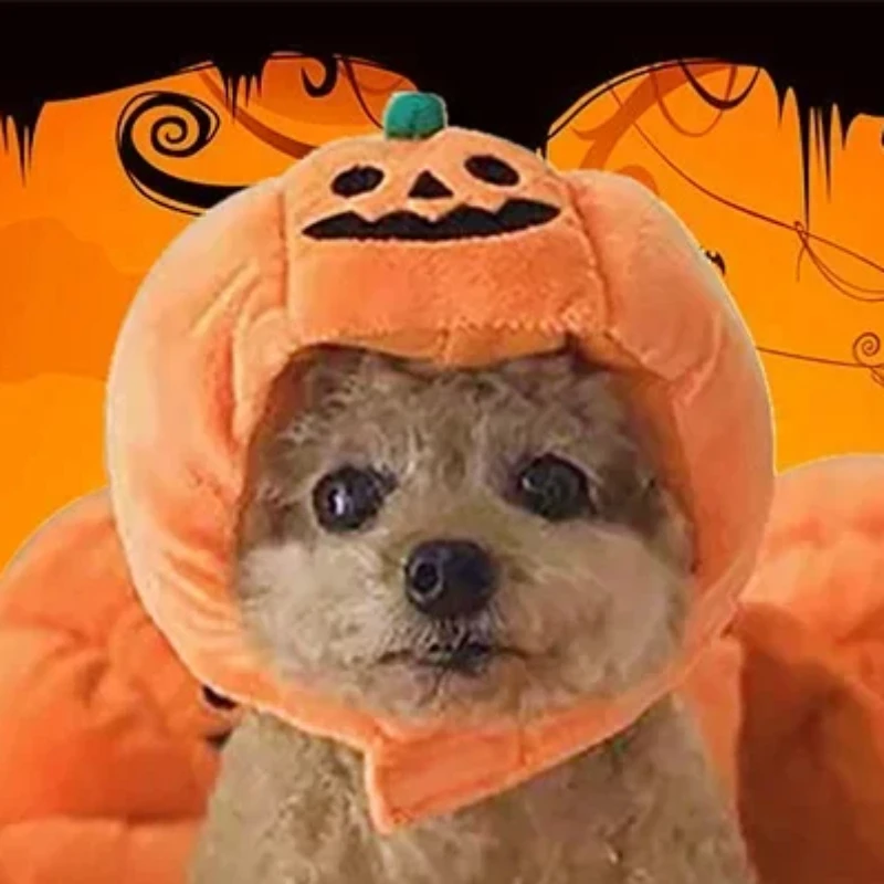 Halloween Pet Cat Dog Pumpkin Hat Halloween Ghost Day Decorative Supplies Small Medium and Large Dogs Teddy Fadou Headgear