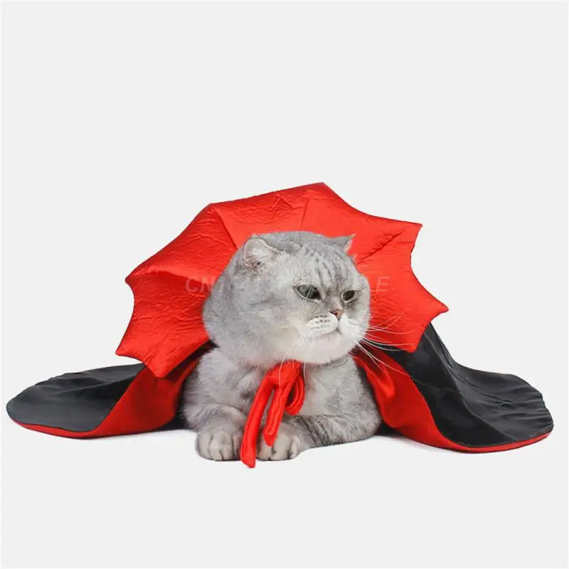 애완동물 의류 사랑스러운 고양이 액세서리, 귀여운 반려동물 원피스, 할로윈 애완동물 고양이 개 의류, 귀여운 강아지 코스튬 트렌드 고양이 개 뱀파이어 케이프