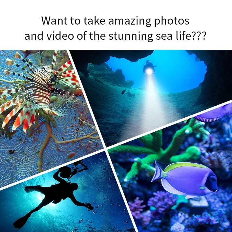 Slide image 40dc8ca69fd84ed09c53a41daaf870f5