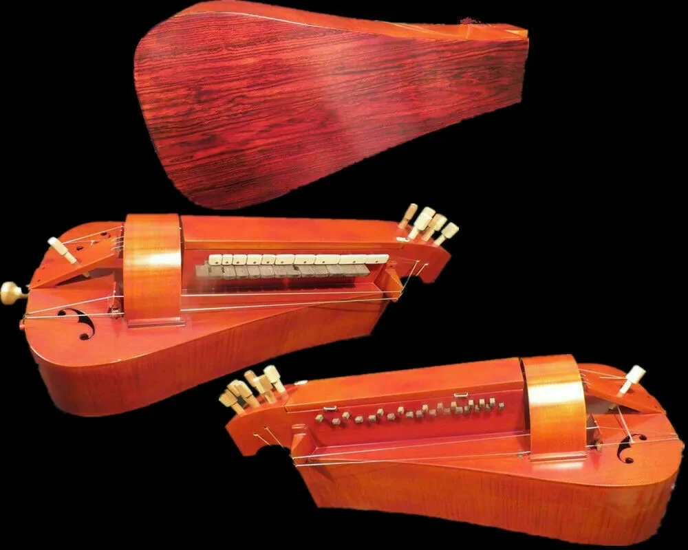 

Ручная работа 6 струн 24 клавиши Hurdy Gurdy, Кокоболо кленовое дерево
