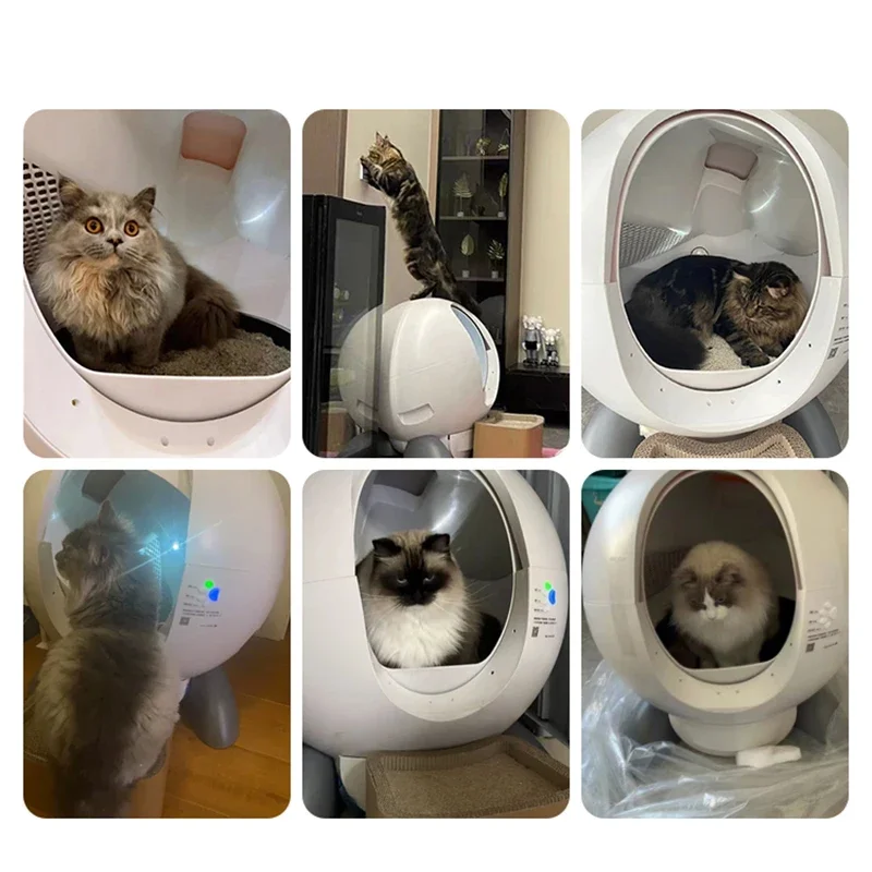 스마트 자동 고양이 변기 쓰레기 집 물건 대형 고양이 변기, 숨겨진 케이지 탈취제, 아레네로 자동 개토 애완 동물 변기
