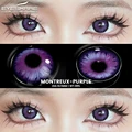MONTREUX-PURPLE