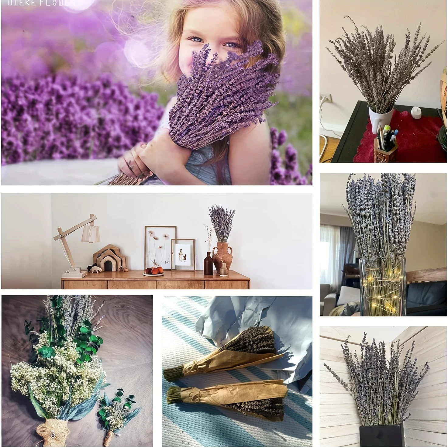 Mazzi Di Lavanda Essiccata Per Decorazioni - Profumati E Naturali - Foto 9