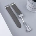 Gray Silver