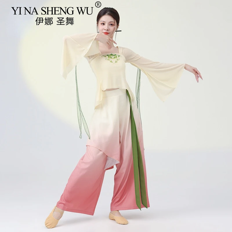 

Шифоновый топ для женщин, китайский танцевальный Топ, широкие брюки-султанки, свободные классические танцевальные штаны, двухслойная тренировочная одежда