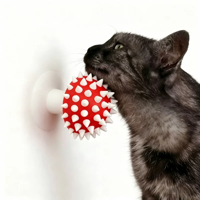 Kattenborstel voor kortharige katten en kittens massage tool_voghion.com