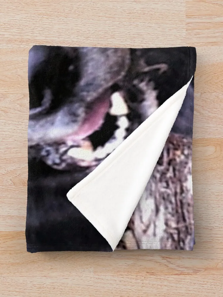 ���� ��ħ ��� �� ��� ������, �Ƹ��ٿ� ���