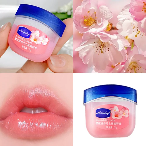립밤 페이드 립 라인 립글로스 세트, 천연 식물 균열 방지 립 케어 오일, 젤리 립밤 리페어, 보습 립스틱 화장품 4