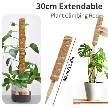 Home Plant Accessories Outdoor Decor Deformable Plant Scaffold Useful Things For Garden Accsesories Stand Indoor Support Tutors