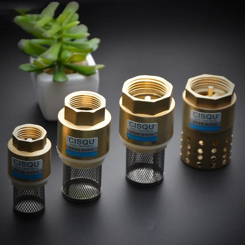 Messing Fuu00dfventil Mesh Ru00fcckschlagventil Mit Lu00f6chern Sieb Filter DN25 1 Zoll
