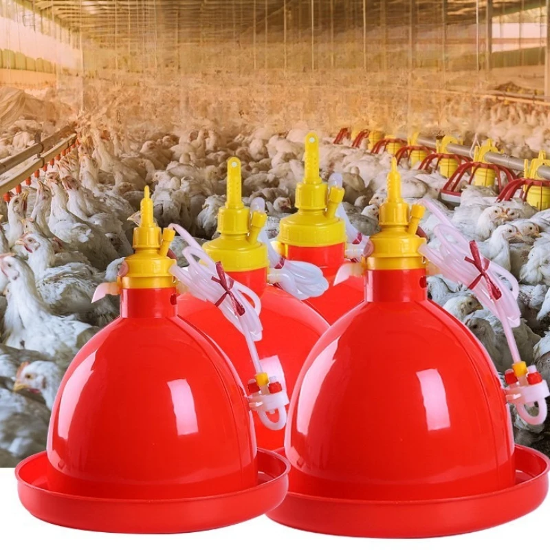 Automatic Poultry Drinker for Chickens, Ducks & Geese 1