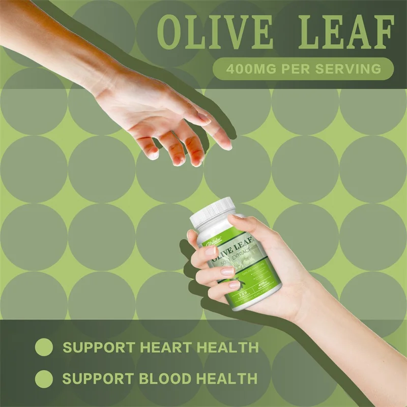 Olive Leaf Extracts Capsules 40% Oleuropein Supports Cardiovascular Health Immune Health Antioxidant