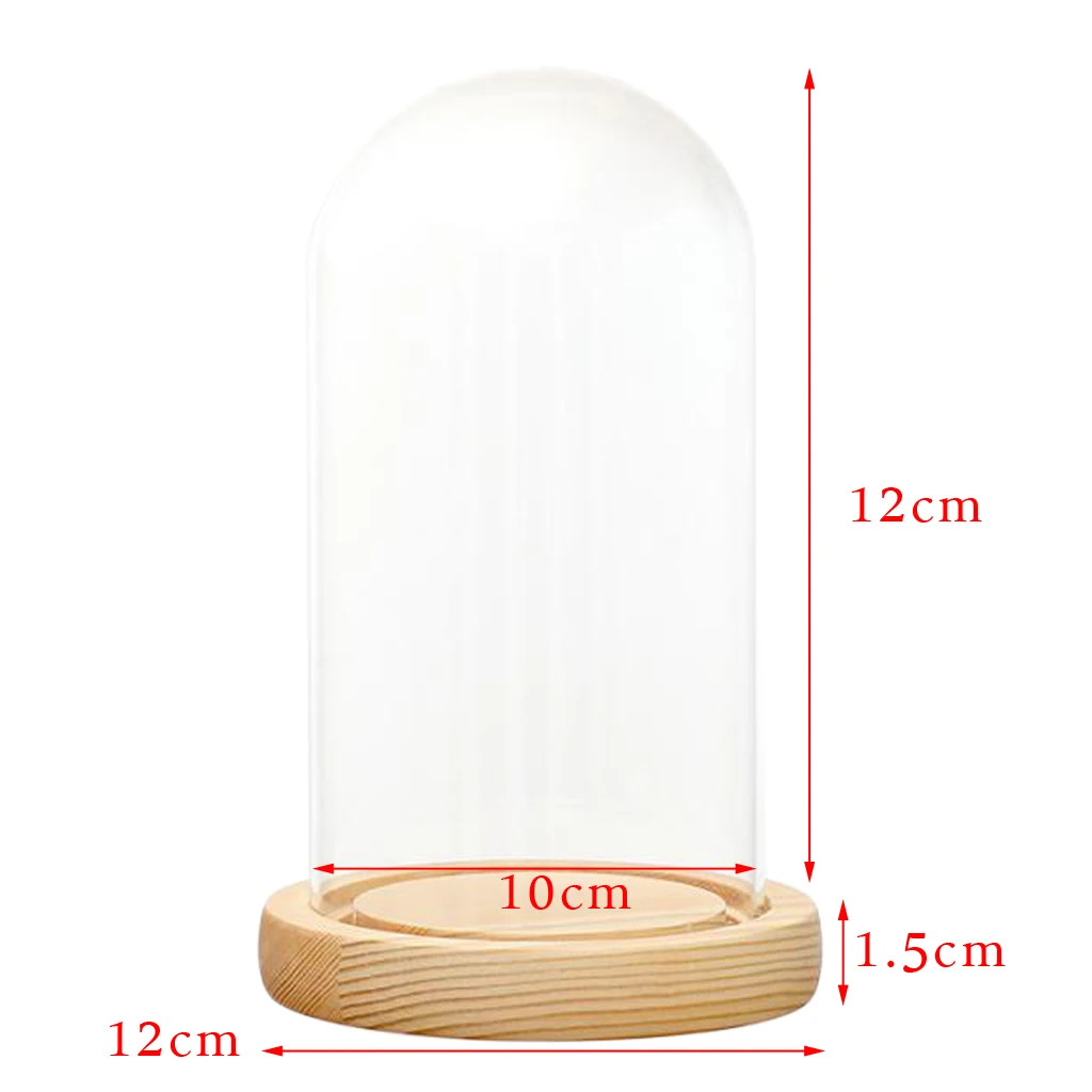 Dôme En Verre Sur Le Plateau En Bois, Cloche En Verre Isolée Sur Fond Blanc Rendu 3d 2cfpna1