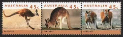Australia Post Stamp Set: 1994 Kangaroo and Koala Collection (3 Pieces, Mint Condition) (A)