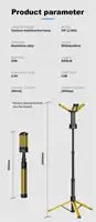 2024 NEW BRAND TOBY'S hot sell 100W led camping lamp vip 12 max Factory 12V/220V COB outdoor travel work camping light case 2